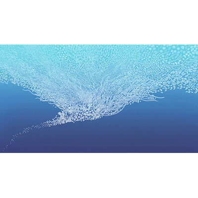 Illustration from How the Sea Came to Be and All the Creatures in It written by Jennifer Berne, published by Eerdmans Books for Young Readers