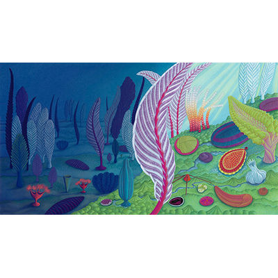 Illustration from How the Sea Came to Be and All the Creatures in It written by Jennifer Berne, published by Eerdmans Books for Young Readers