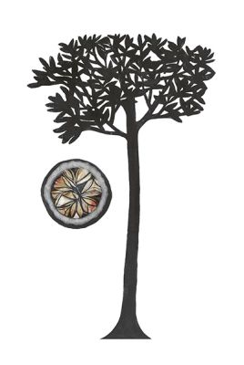 Brazil Nut Tree &copy; Beatrice Forshall
