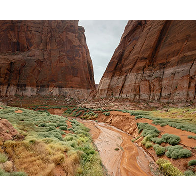Geography of hope &copy; Elliot Ross
