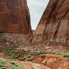 Geography of hope &copy; Elliot Ross