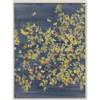 Hawthorn 18&rdquo; x 24&rdquo;