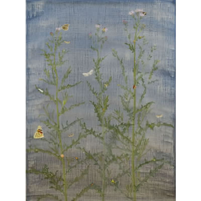 Creeping Thistle 18&rdquo; x 24&rdquo;