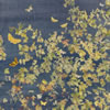 Hawthorn 18&rdquo; x 24&rdquo;