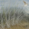 Marram 18&rdquo; x 24&rdquo;