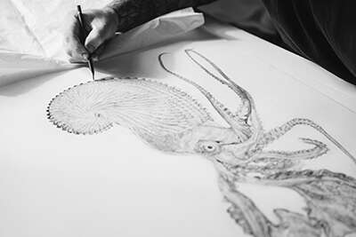 Tim Li drawing