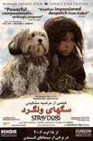Meshkini&acirc;&euro;&trade;s Stray Dogs