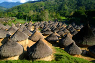 Seiyua, a typical Kogi settlement in the Sierra Nevada de Santa Marta Photograph: Danilo Villafa&ntilde;e