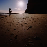 &copy; Haddonfield Films www.istockphoto.com