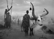 &copy;Sebasti&atilde;o Salgado/Amazonas Images/nbpictures