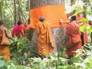&copy; Monks Community Forest (MCF)