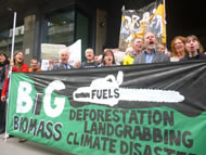 &copy; www.biofuelwatch.org.uk