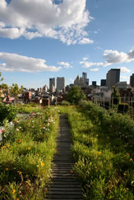 &copy; www.goodegreennyc.com