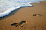 &copy; DavidAntoniHands/istockphoto.com