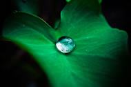 Photo &copy; Danist06/www.freeimages.com