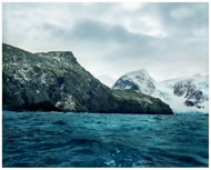Antarctic Moss # 0212 - 7B33 (5,500 years old), Elephant Island, Antartica &copy; Rachel Sussman