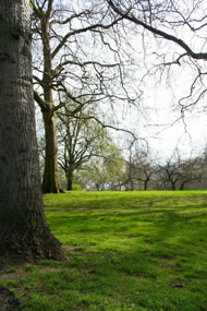 Green Park, London &copy; Mee Lin Woon/www.freeimages.com