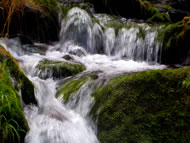 Flowing river &copy; Xiskya Valladares/www.freeimages.com