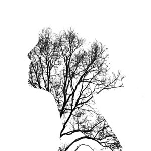 Illustration &copy; TairA / Shutterstock.com