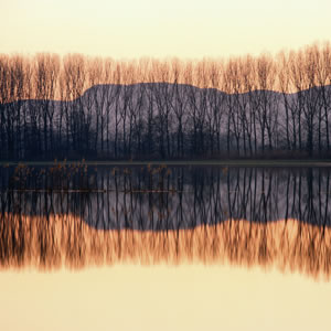 Selestat, Bas Rhin, France &copy; Charlie Waite  www.charliewaite.com