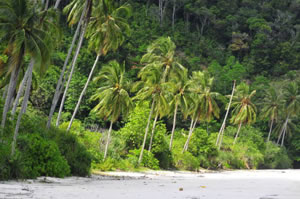Pulau Redang III &copy; Dr Stanislav Shmelev http://stanislav.photography/