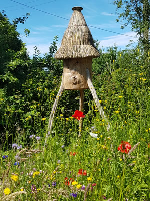 Freedom Hive &copy; Matt Somerville