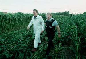 Peter Melchett arrested for removing genetically engineered maize from trial farm in Lyng, UK &copy; Steve Morgan / Greenpeace