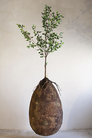 Capsula Mundi is a biodegradable burial pod www.capsulamundi.it Photograph by Francesco D&rsquo;Angelo
