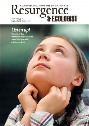 Greta Thunberg 2019 &copy; Facundo Arrizabalaga/EPA-EFE/Shutterstock