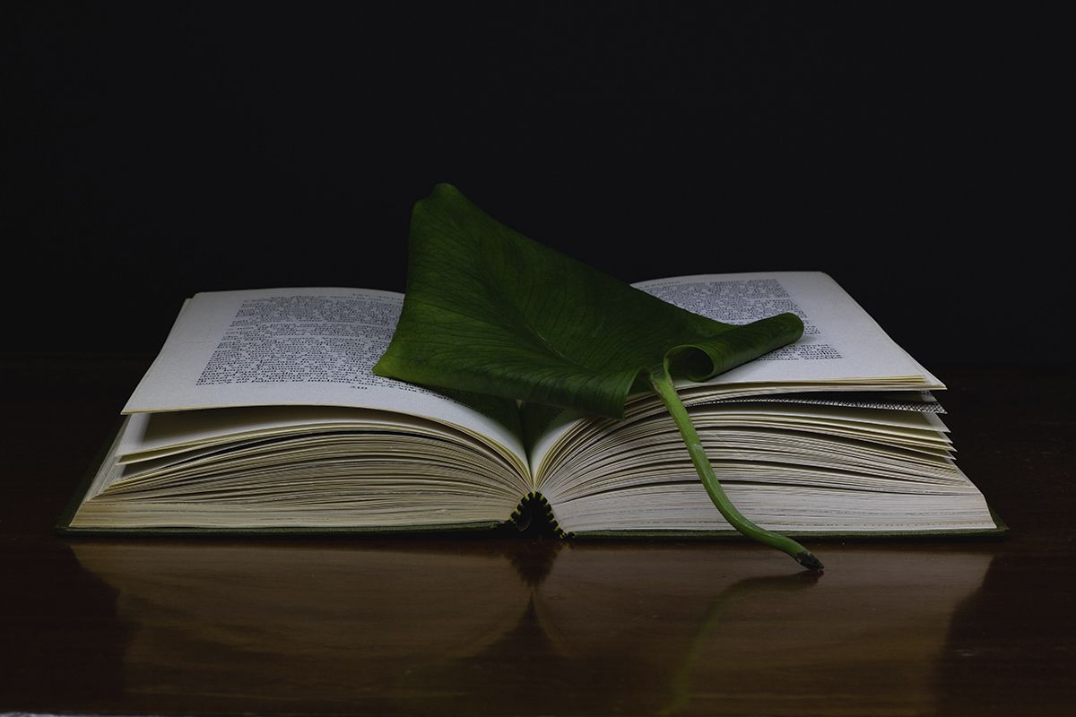 Photograph by Ergita Sela / Unsplash