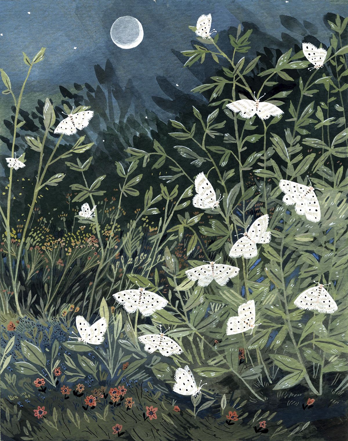 Moon Moths &copy; Becca Stadtlander, 2020. Exclusively licensed by thebrightagency.com