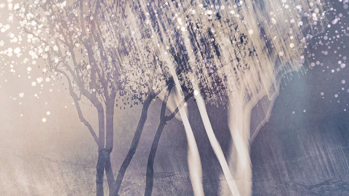 Seasonal Light