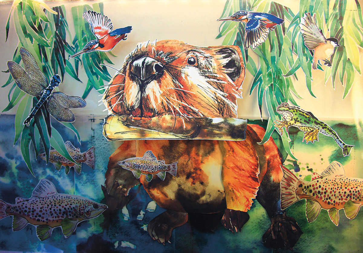 Stills from Beavers: Nature&rsquo;s Ecosystem Engineers by Lauren Cook for Beaver Trust @laurens_colours