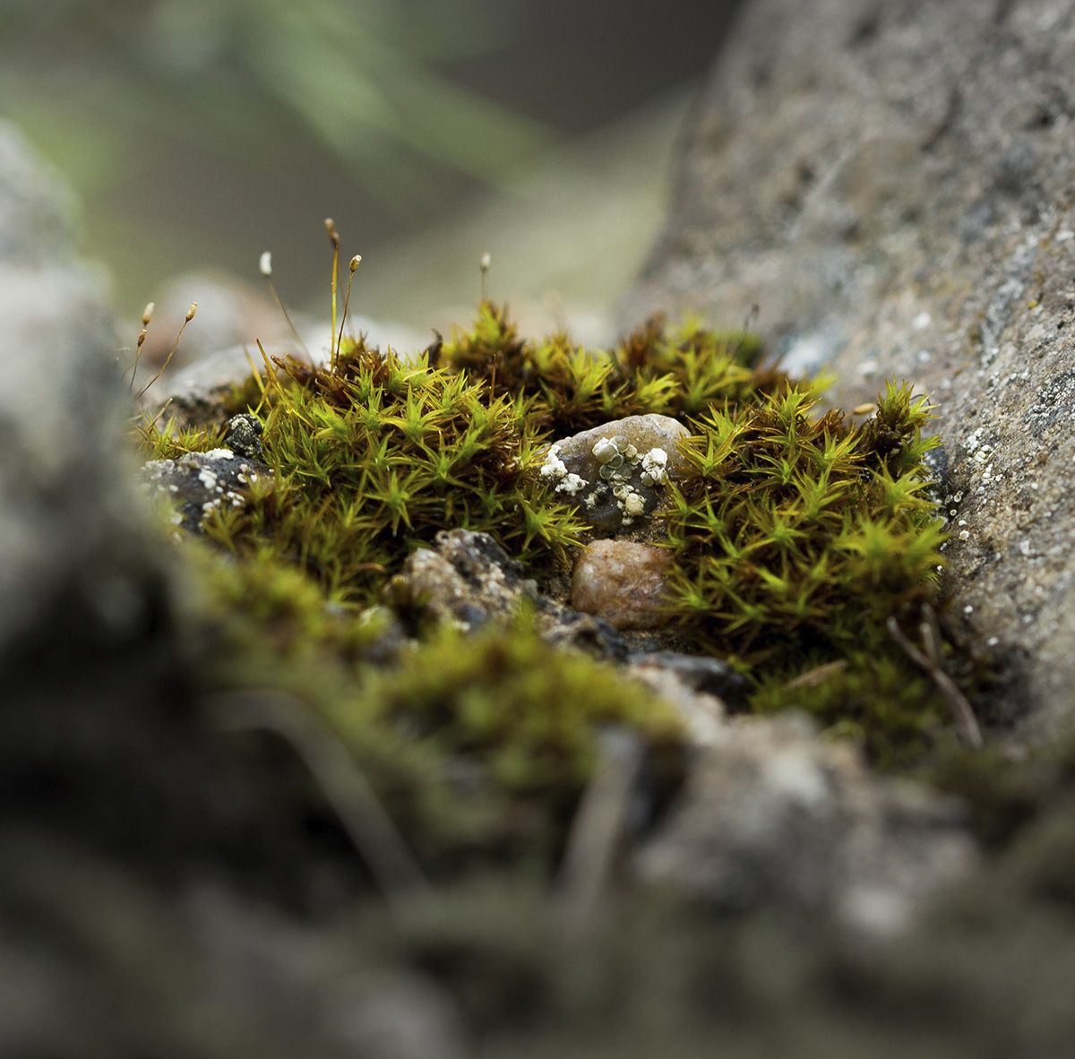 Photo &copy; Andreas Haslinger / Unsplash