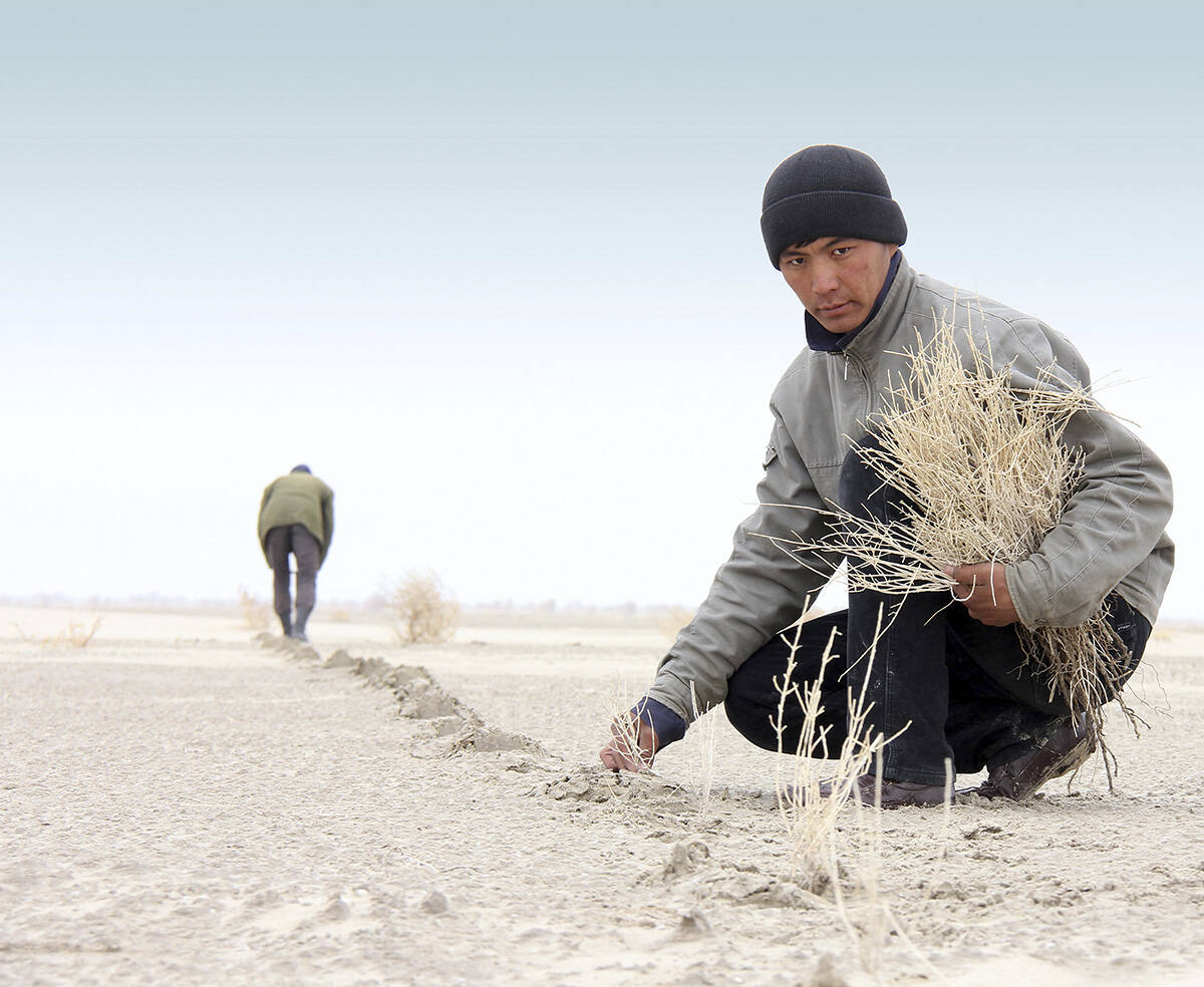 Planting saxaul &copy; UNDP Uzbekistan