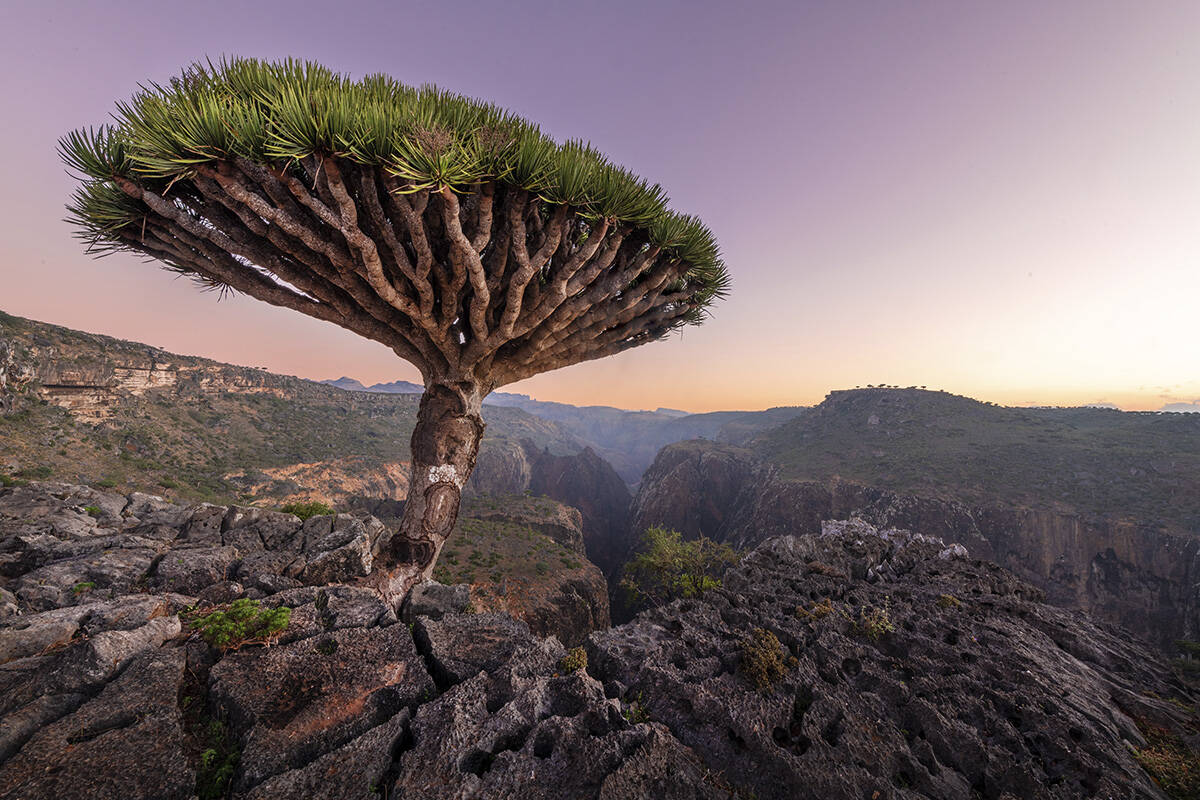 Photo &copy; Andrew Svk / Unsplash