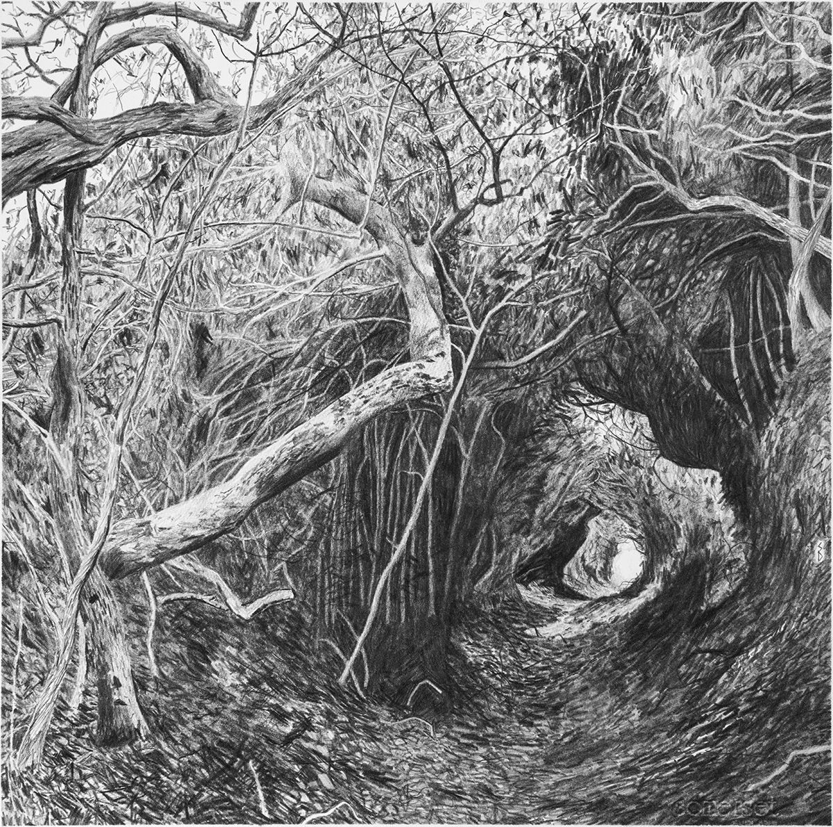 Rexe&rsquo;s Hollow, 2021 by Stanley Donwood www.whistleblowergallery.co.uk