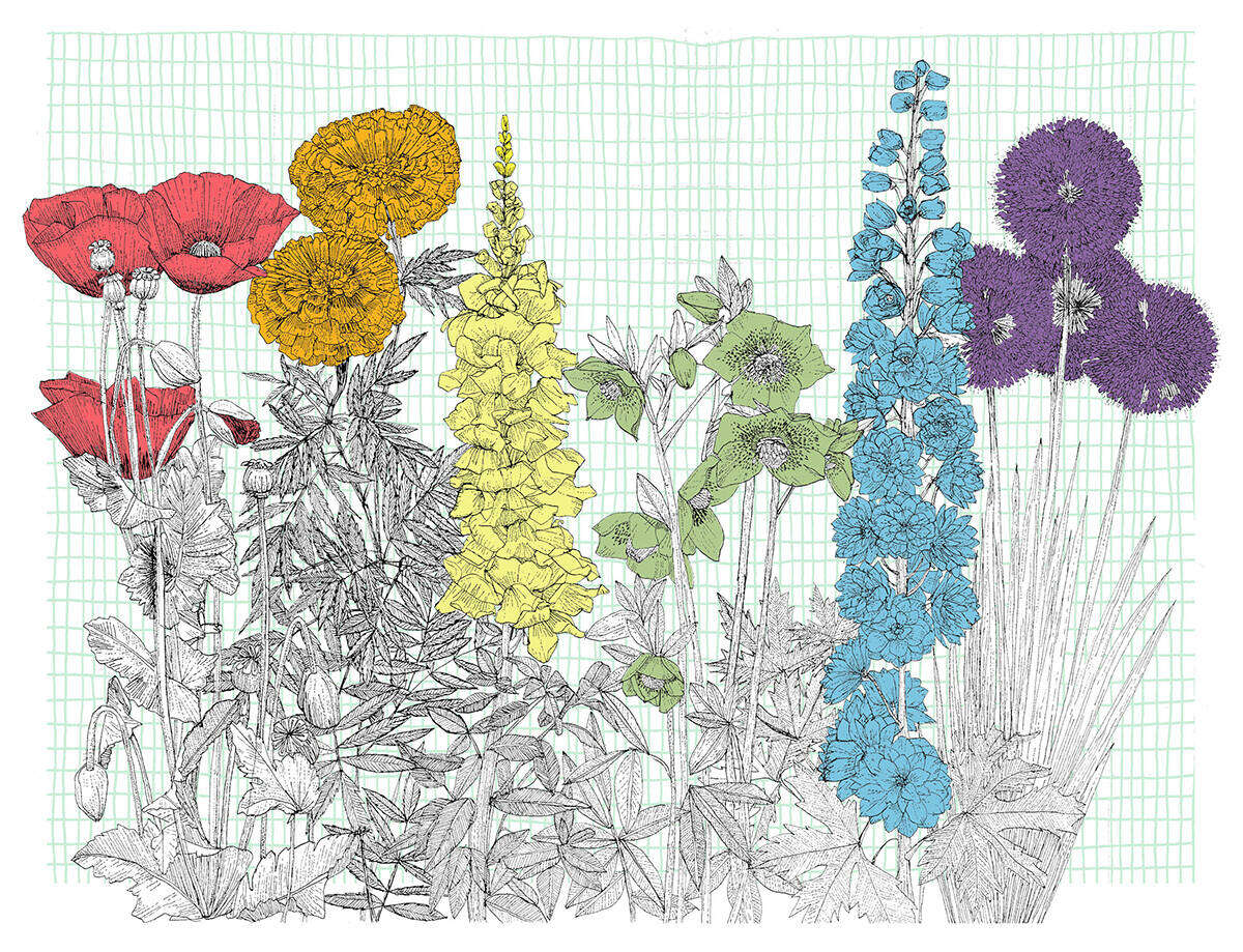 Artwork by Clare Halifax www.clarehalifax.com