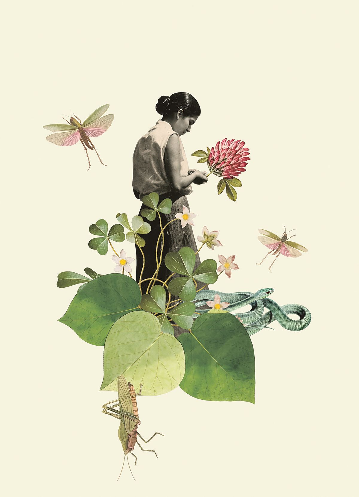 Artwork by Clare Celeste www.clareceleste.com