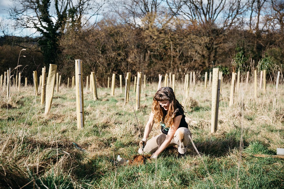 Tree planting &copy; Alexander Turner, Avon Needs Trees