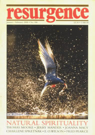 Resurgence and Ecologist magazine issue cover 186