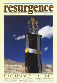 Resurgence and Ecologist magazine issue cover 187