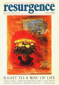 Resurgence and Ecologist magazine issue cover 189