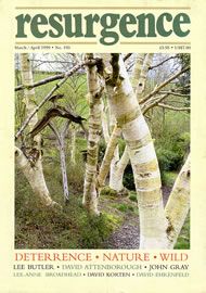 Resurgence and Ecologist magazine issue cover 193