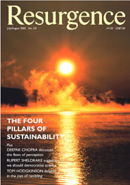 Resurgence and Ecologist magazine issue cover 231