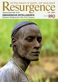 back issue 250