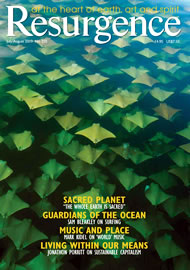 Resurgence and Ecologist magazine issue cover 255