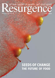 Resurgence and Ecologist magazine issue cover 259