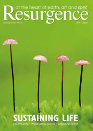 Resurgence and Ecologist magazine issue cover 261