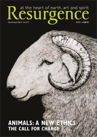 Resurgence and Ecologist magazine issue cover 271